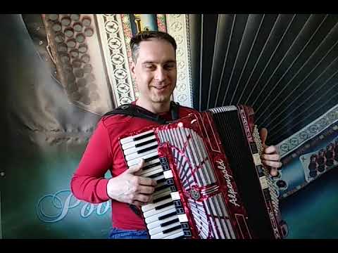 ANDREJ TOPLISEK - ALPENGOLD KRAINER VM - PLAZNIK STIMA