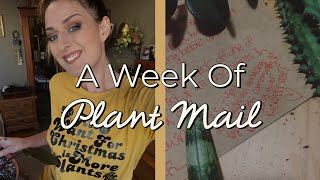 A Week of Plant Unboxings feat Mellow Monkey Shop! | #Vlogmas2019 Ep.2