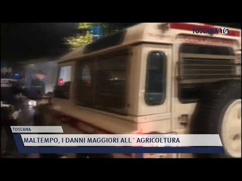 2021-09-27 TOSCANA - MALTEMPO, I DANNI MAGGIORI ALL'AGRICOLTURA