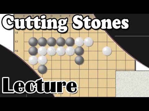 Bats Go Lecture - Cutting Stones!