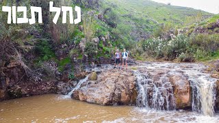 מסלול נחל תבור בשיא היופי שלו