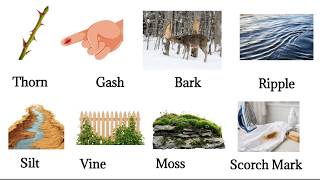 Everyday English Nature Words Explained Simply | Easy Vocabulary for Beginners
