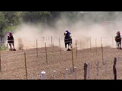 Hip. El Quebrachal (Don Nacho)