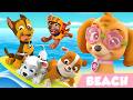 Surf S P UP ‍ ️ Summer Beach Party With PAW Patrol ️ LIVE 24 7