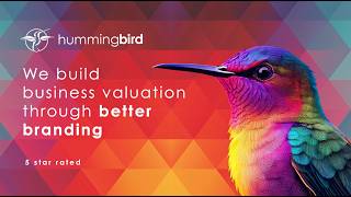 Hummingbird - Video - 1