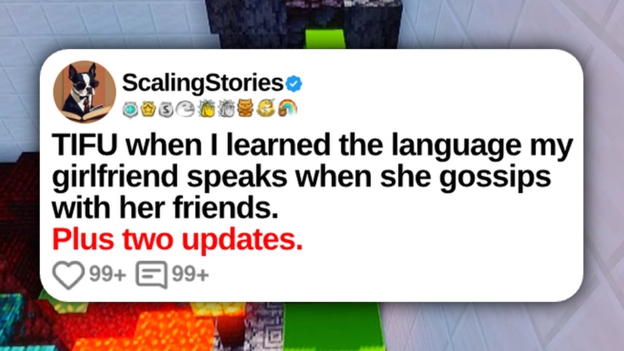 TIFU When I Learned the Language My Girlfriend Speaks When She Gossips... | Reddit Updates