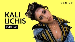 Kali Uchis &quot;After The Storm&quot; Official Lyrics &amp; Meaning | Verified