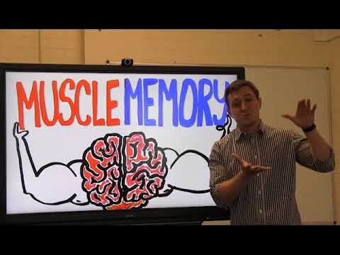 University of Brighton, Alexander Kolliari-Turner