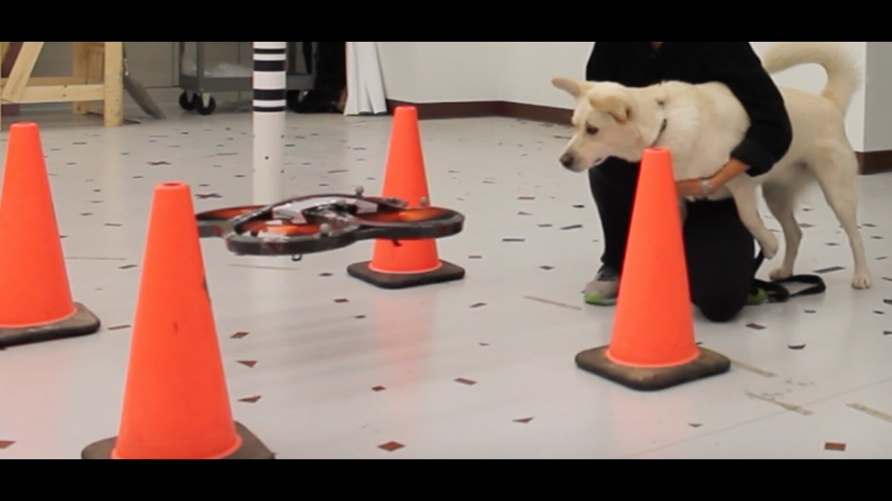 A Modular Framework for Motion Planning with Feedback-Based Motion Primitives