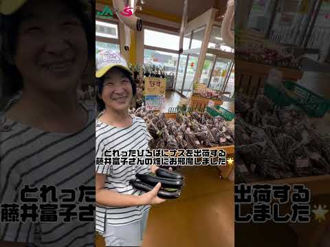 夏秋なす（インタビュー）｜JAめぐみの×美・デザイン＆医療事務コース　産学連携授業作成動画｜中部学院大学・中部学院大学短期大学部