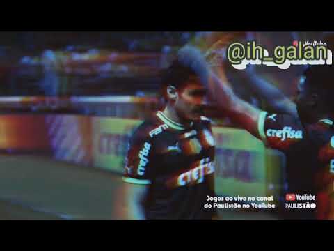 PALMEIRAS 2X0 INTER DE LIMEIRA/SEGUE MEU PAL//PIQUEREZ, PIQUEREZ, O GOLAÇO DA VEZ