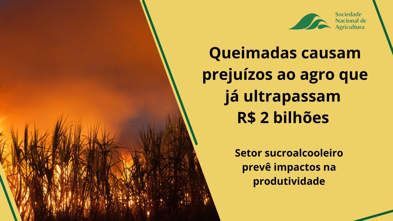 Queimadas causam prejuízos ao agro que já ultrapassam R$ 2 bilhões