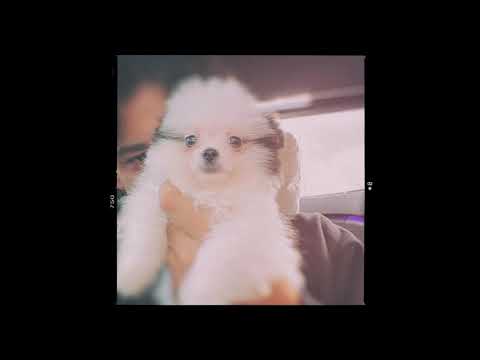 (FREE) [GUITAR] Ufo361 x Future x Gunna Type Beat - "new start" | Emotional Type Beat 2021 |