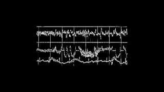 "And still they move": Ann Druyan's story for Radiolab