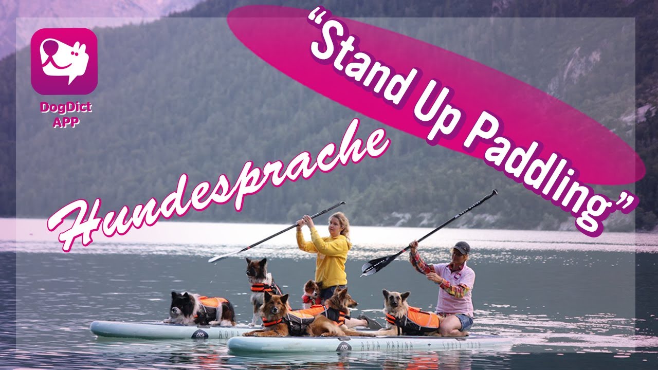 Folge 13: Stand up Paddling mit Hunden