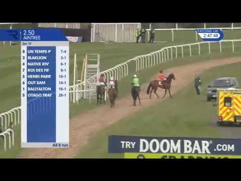 Native River wins the Betfred Mildmay Novices' Chase 2016