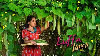 Download lagu Luffa(Ridge gourd) vine to Lunch table & only chance to see the 'Cuttlefish Flower' | Traditional Me mp3