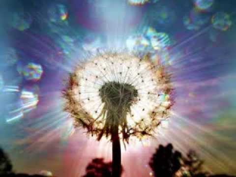 Sephira - Meandering Emotions