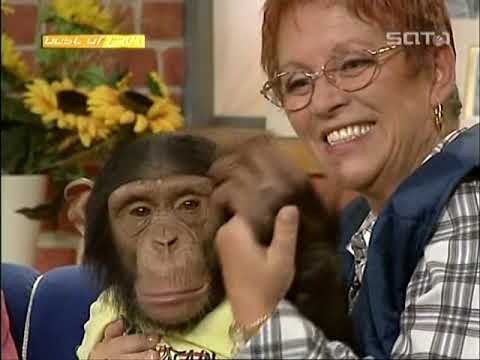 Best of Talk 02 - TV Archiv