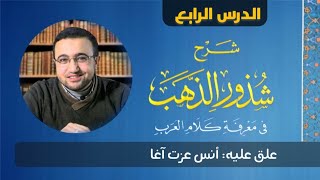 صورة الدرس الرابع من شرح شذور الذهب - أنس عزت آغا