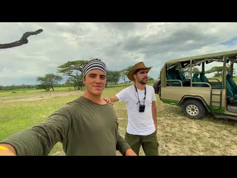 selous mapumziko lodge