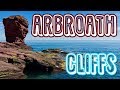 Arbroath Cliffs (Leisure) - Scottish Adventures