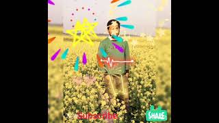 Download lagu zamil zamil Arabic song.new version 2021 mp3