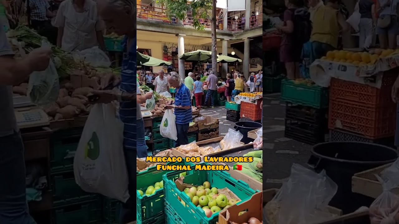 YouTube Short thumbnail