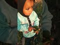 Sarso Ke Safiya Taja Short