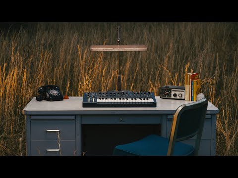 Moog Messenger | Monophonic Analog Synth with Ladder Filter, 32-Key Aftertouch & 64-Step Sequencer image 4