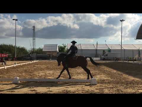 Joao Bento e Habil de Sena - Ovibeja