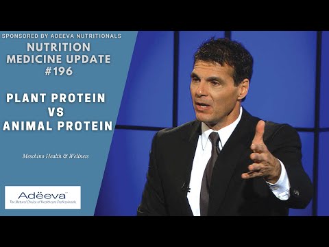Plant vs Animal Protein in Muscle Gains