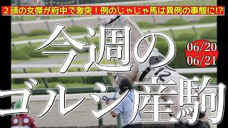 今週のゴールドシップ産駒 (06/20,21)【２頭の女傑が府中で激突！例のじゃじゃ馬は異例の事態に!?／ジャジャミンほか】