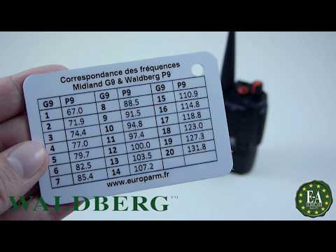 Talkie-walkie waldberg p9 pro - maheraultcompany.Com_3