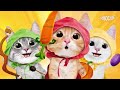 MOOCHIE Tavuklu ve Papatyalı Krema Kedi Ödül Maması 15gr (5'li)