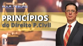 Princípios do Direito Processual Civil