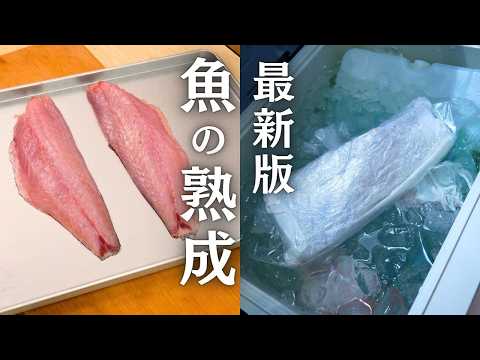 【最新版】魚の熟成方法｜なぜ魚は腐らず旨くなるのか？寿司職人が明かす“腐らせない技術”の正体