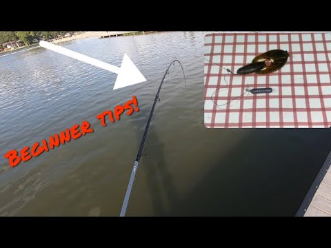 best rig for finicky bass!- drop shot fishing for beginners