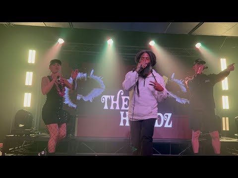 Thees Handz(Murs,the Grouch,Reverie) live in Hawaii(4k)