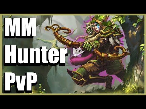 Marksman Hunter is INSANE in Arena! - MM Hunter PvP