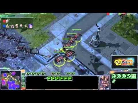GGvision #6 - GSL Grand Finals & the Styles of Foxer and NesTea