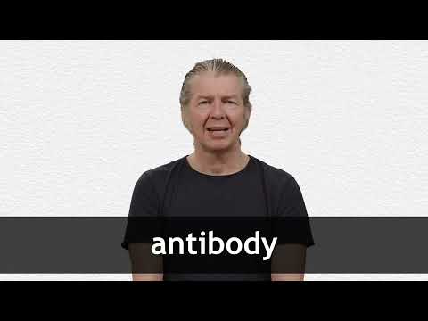 How to pronounce ANTIBODY in American English