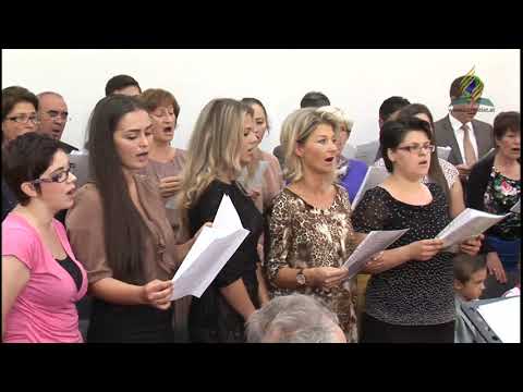 Lumina Ta - Corul Azs Viena