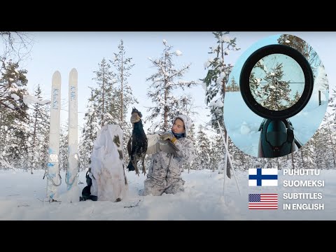 Winter grouse hunting very far north - Afterwork à la Inari, Lapland, Finland - A capercaillie
