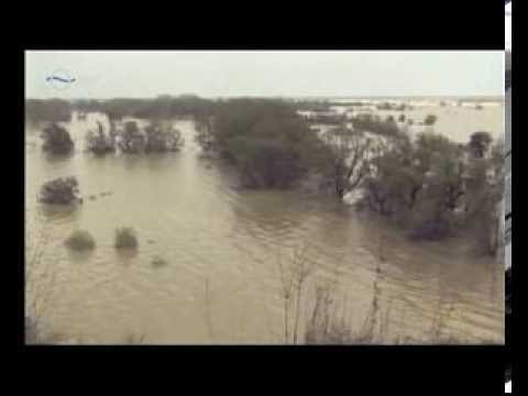 Kormorán zenekar- Árad a víz