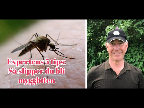 Expertens 5 tips: Så slipper du bli myggbiten i sommar