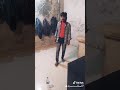 Mithun Entry 1