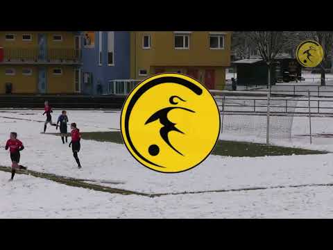 Heidenauer SV vs. 1. FFC Fortuna Dresden 2. 2:0