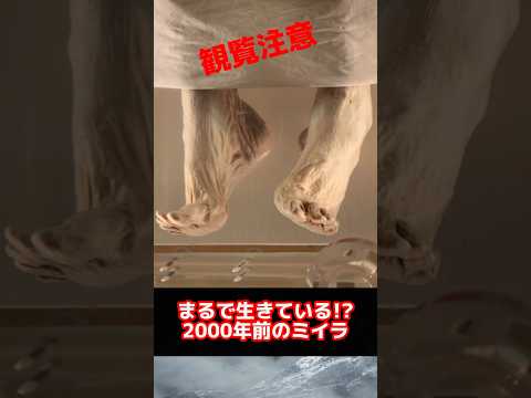 珍しい場所での考古学的発見 - あらゆる場所の中でも、ここにはミイラが隠されていました