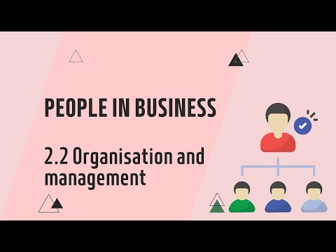 IGCSE Business Studies: Chapter 2.2 Organisation and management